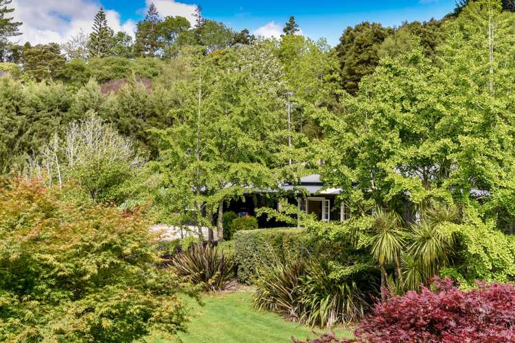 62 Potter Road Dairy Flat_3