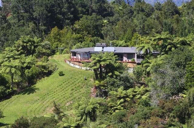 310 Lindemann Road Hauraki Surrounds_1