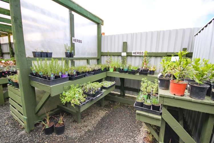 13 Jellicoe Road Manurewa_22