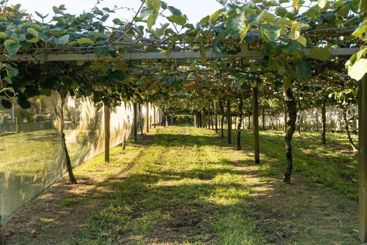 585d Mclaren Falls Road Kaimai_2