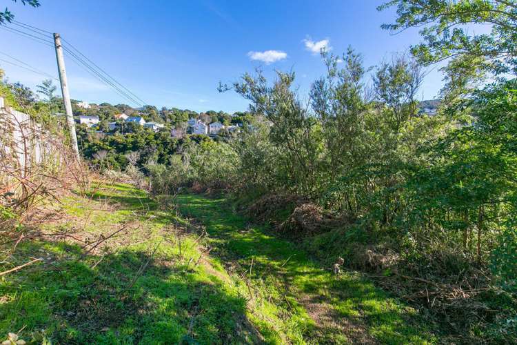 76 Curtis Street Northland_5