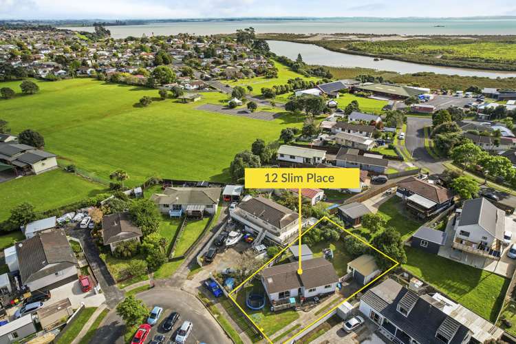 12 Slim Place Clendon Park_13