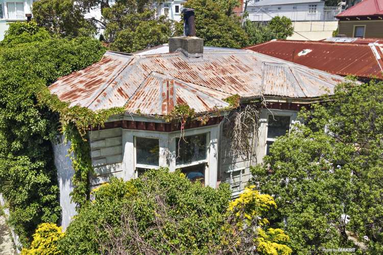 17 Hawkestone Street Thorndon_2