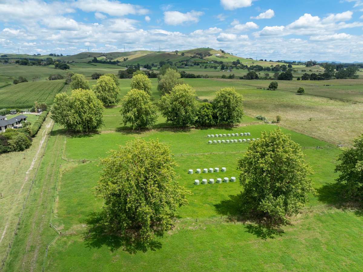 222 Morrinsville-Walton Road_5