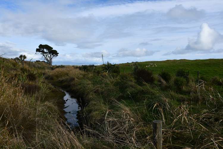 491B Karamea Kohaihai Road Karamea_12