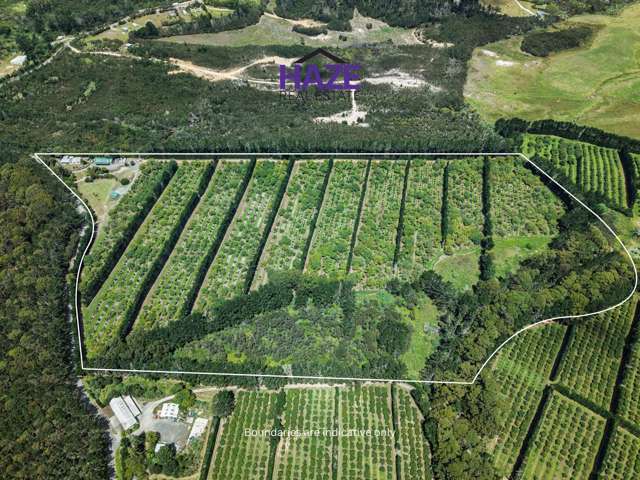 Orchard Life, Coastal Living!