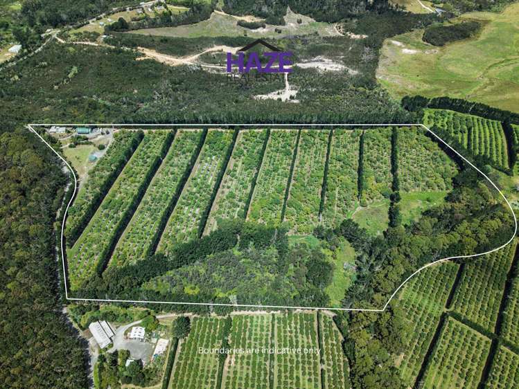 377 Paparore Road Kaitaia_0