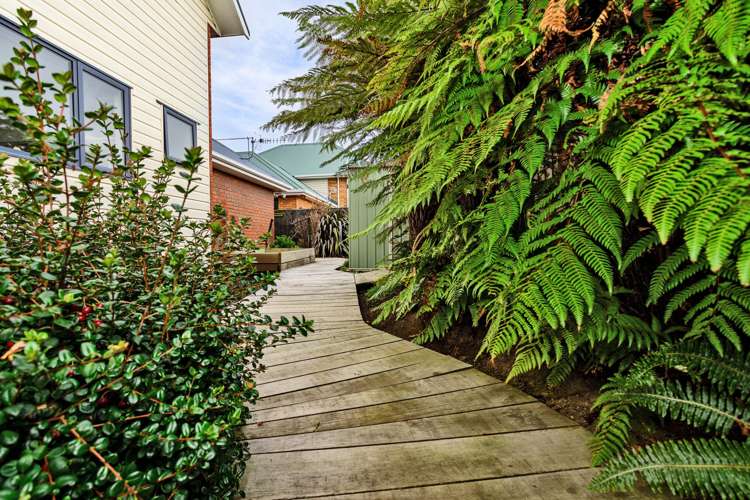 6 Morell Street Georgetown_22