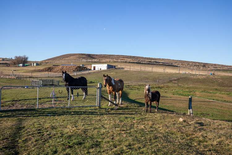 661 Springvale Road Alexandra_23