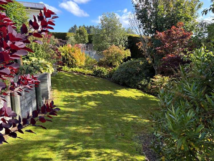 118 Waitepeka Road Waitepeka_27