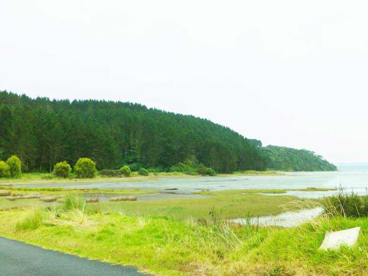 306 Morrison Road Kawhia_8