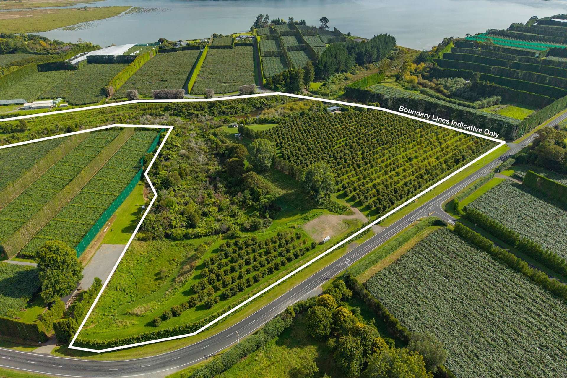 169 Tuapiro Road Katikati_0