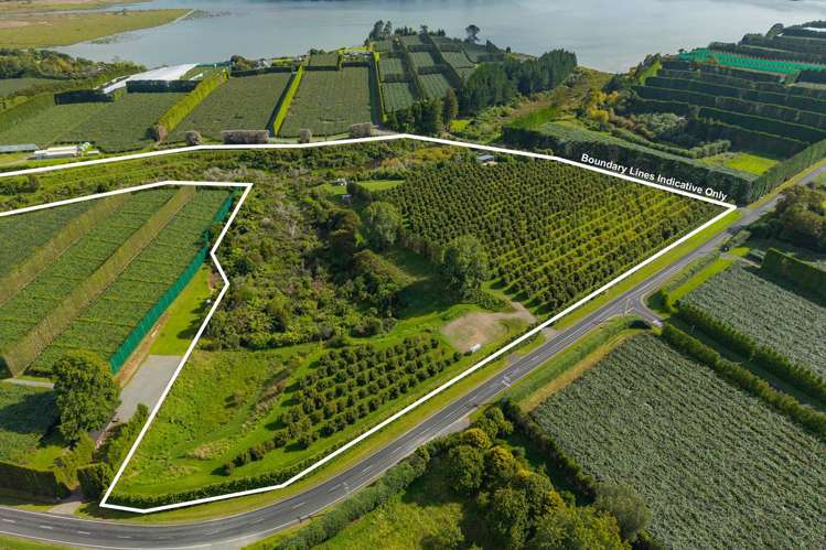 169 Tuapiro Road Katikati_0