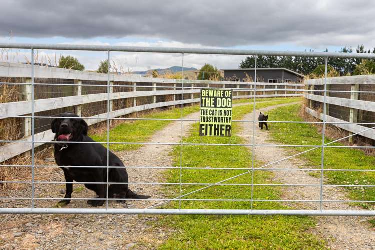 220 Cowper Road Dannevirke_22