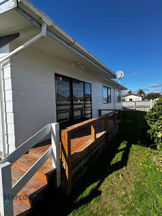 111 Richard Street Opotiki_2