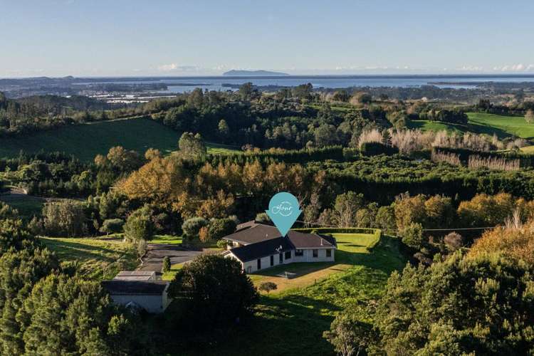 329B Thompsons Track Katikati_26