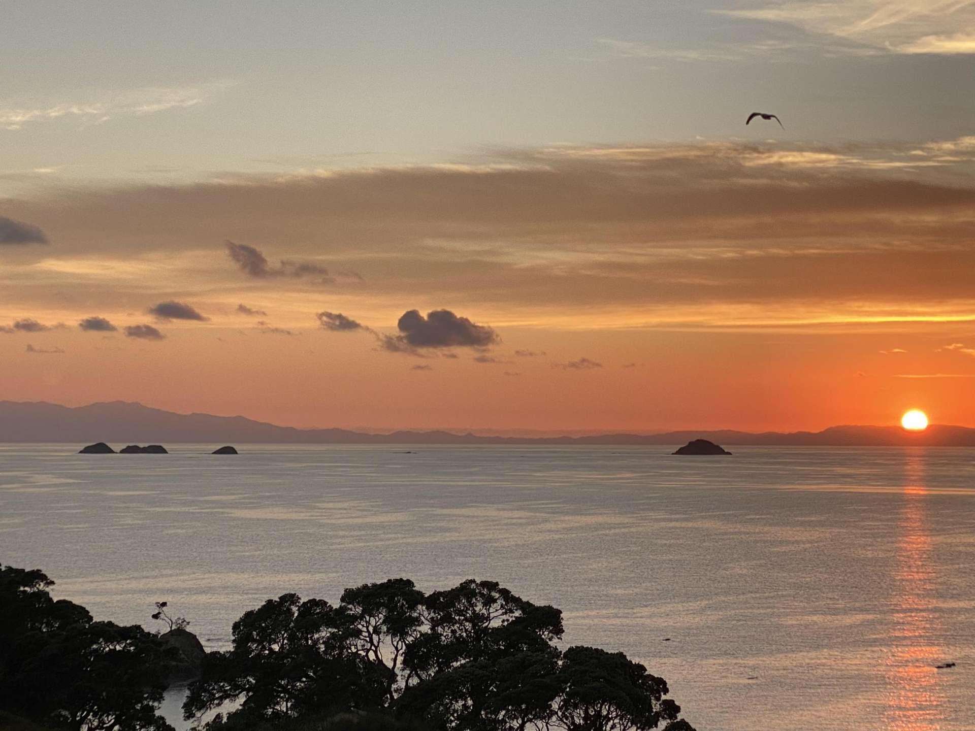 Lot 1/106 South Pacific Road Rakino Island_0