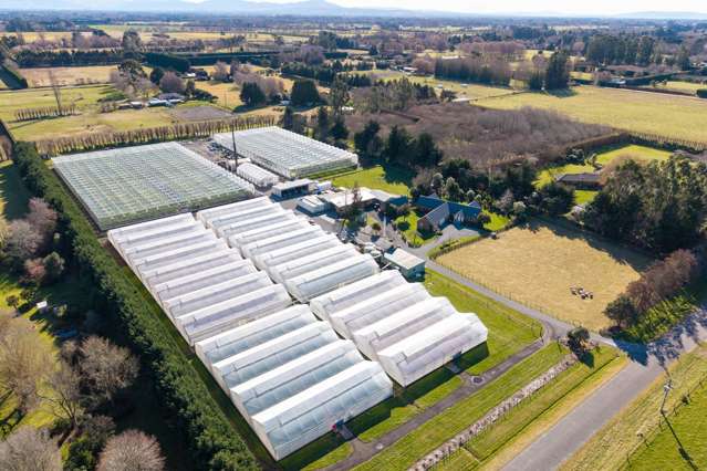 Landmark Horticultural Business in Prime Location