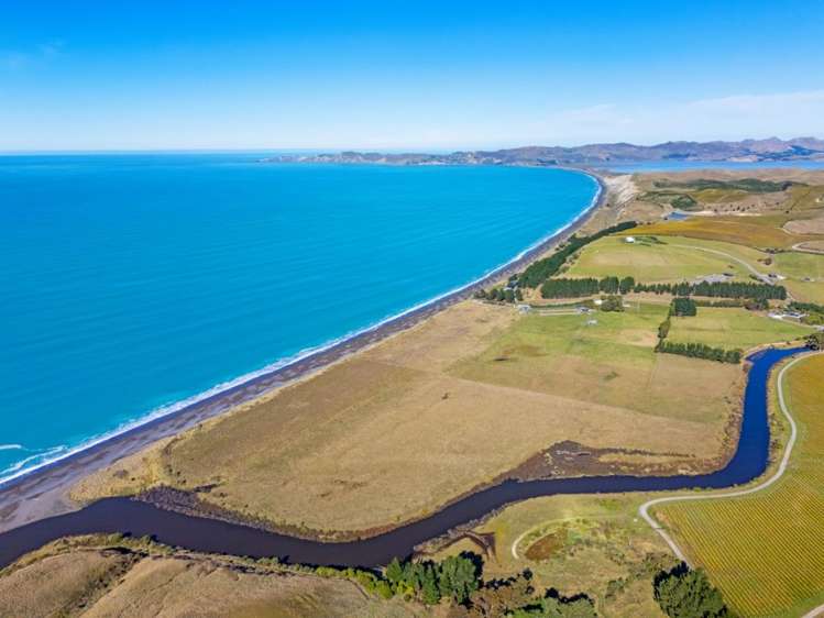 377 Cable Station Road Seddon_6