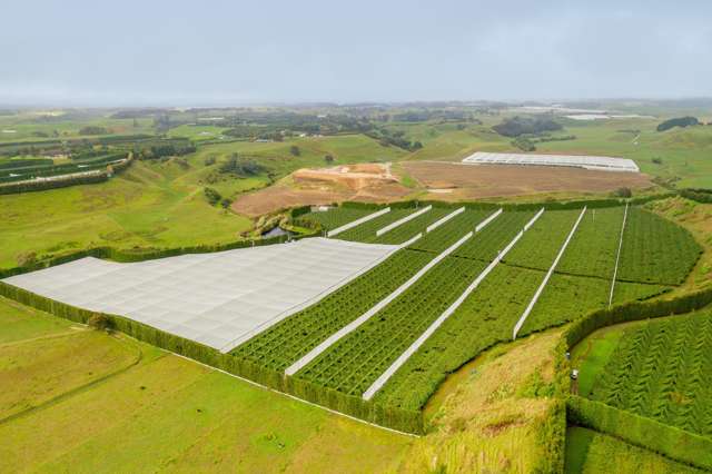 472 Old Coach Road Paengaroa_2
