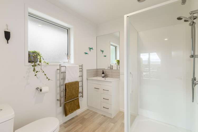 134 Turnbull Drive Witherlea_19