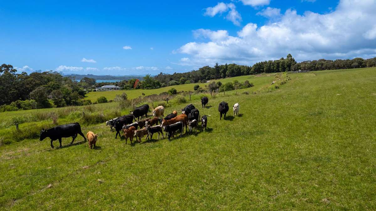 111 Magnolia Tree Way_2