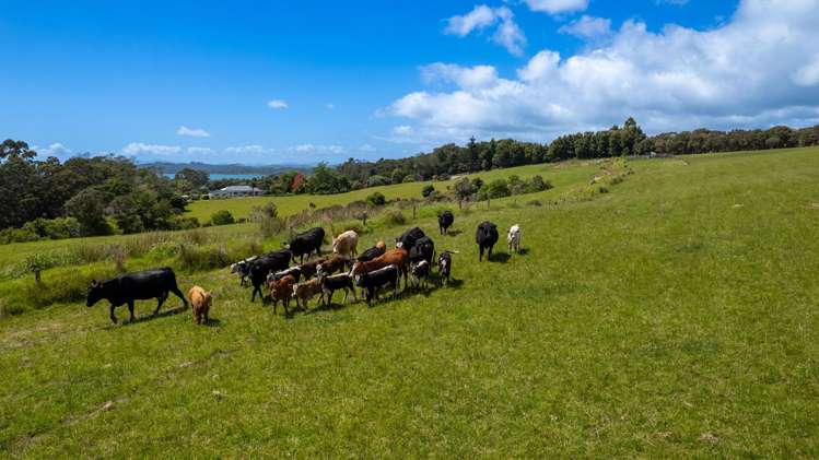 111 Magnolia Tree Way Kerikeri_6