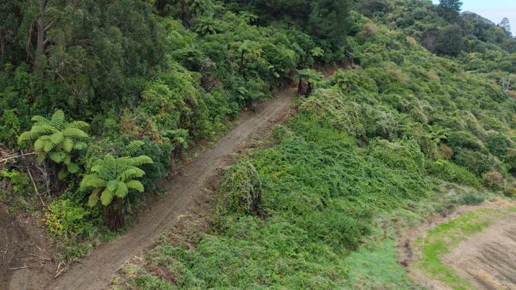 154a Takaka Hill Highway, Riwaka Motueka_9