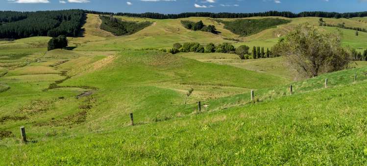 231 Hakakino Road Wainuioru_2