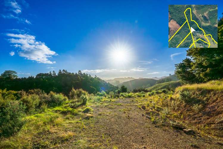 Telfer Road Parua Bay_49