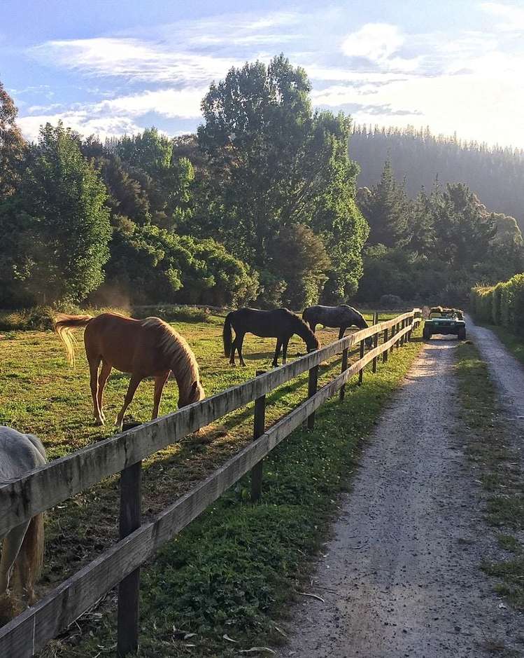 217 Harvey Road Marahau_22