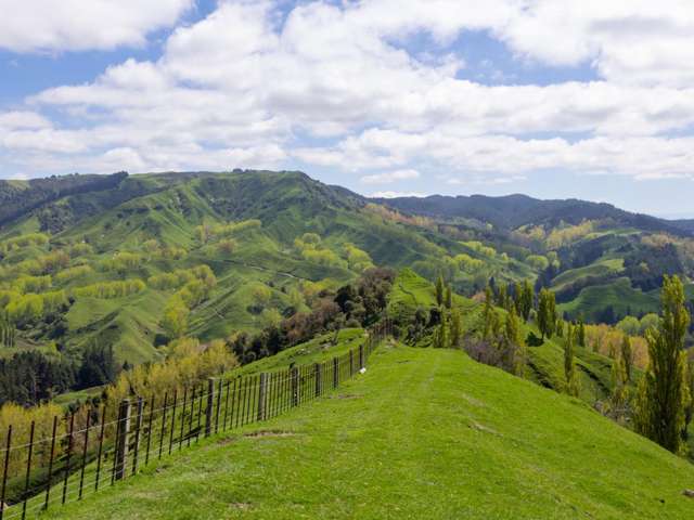 6900 State Highway 1 Mangaweka_4