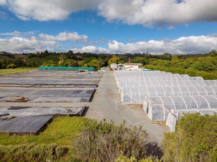 389 Old Highway Whakamarama_23