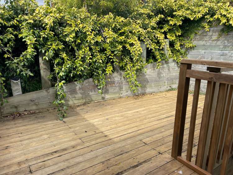 84 Alton Avenue Hillcrest_16