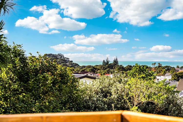 16 Halldene Terrace Red Beach_1