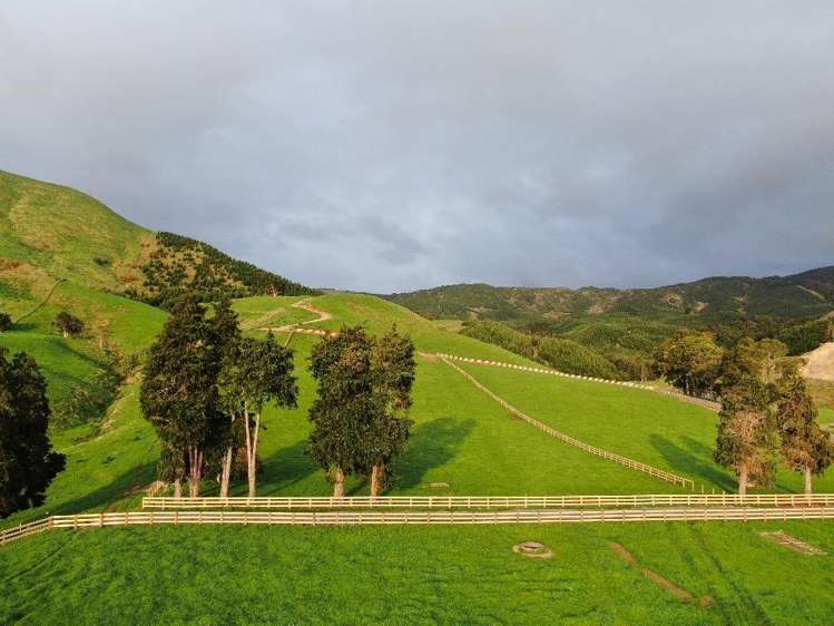 Lot 4, 151 Hill Road Te Aroha_5