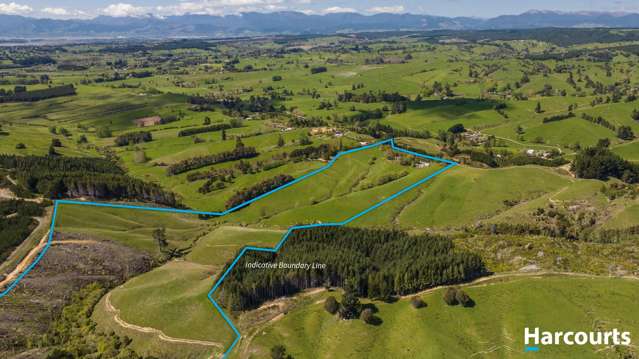 372 Rosedale Road, Upper Moutere, Mapua_1