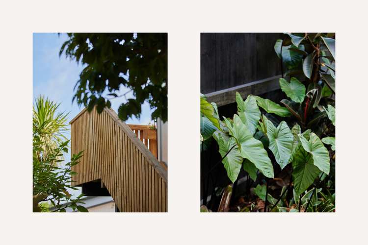 4b Redditch Place Papamoa_13