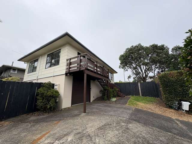 224B Moore Street Howick_1