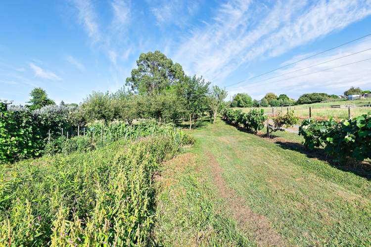48 Moxham Road Te Awamutu_6