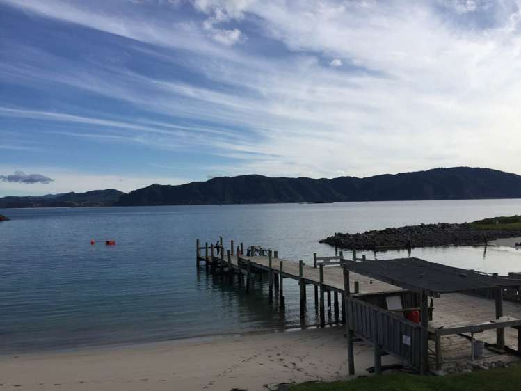 190 Pacific Ocean, Slipper Island (Whakahua) Thames_63