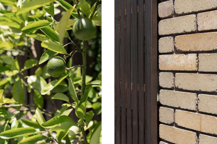 20a Kane Road Papamoa_12