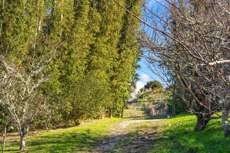 217 Lawrence Road Mangawhai_37