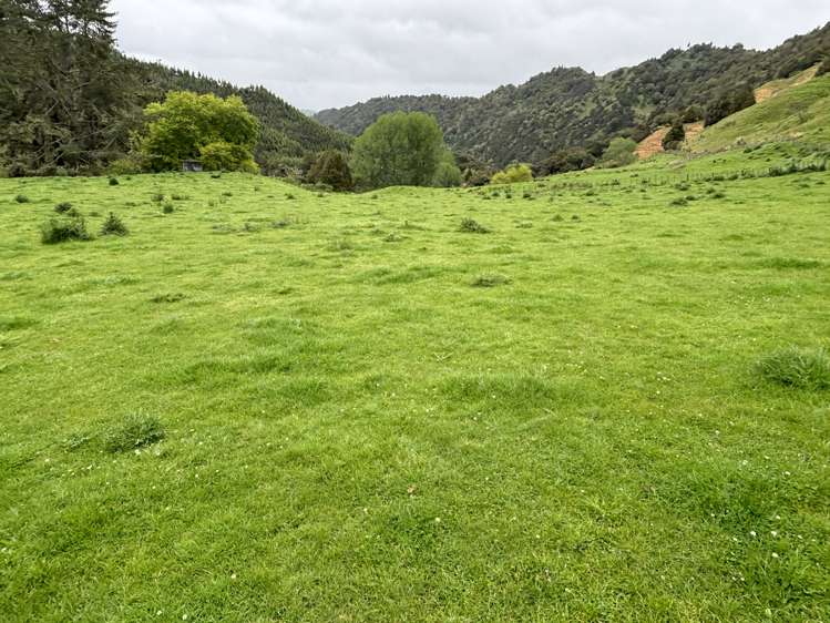 166 Saddler Road Taumarunui_19