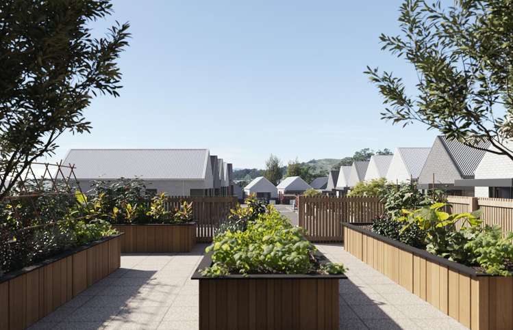 20 Morton Street Kingston_9