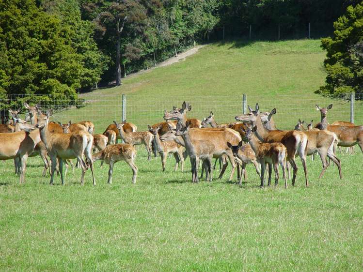 125 Woodside Road Outram_12