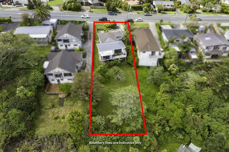 124 Carlisle Road Browns Bay_6