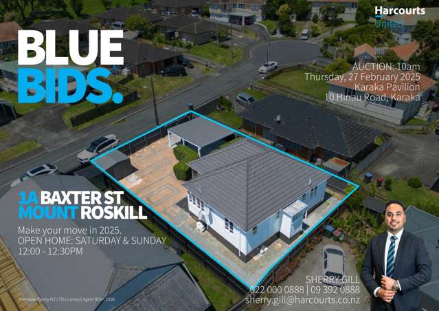 1a Baxter Street Mount Roskill_1
