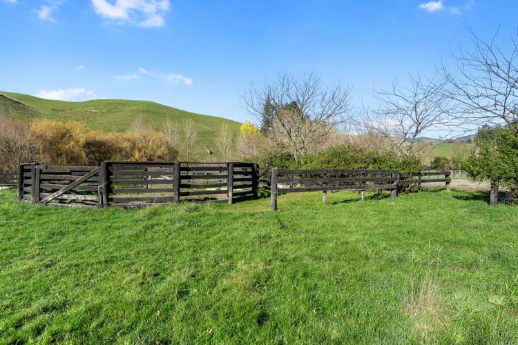 356 Eighty Eight Valley Road Eighty Eight Valley_28