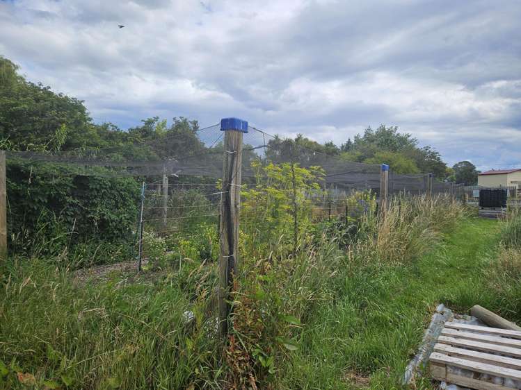 Middle Street Reidston_3